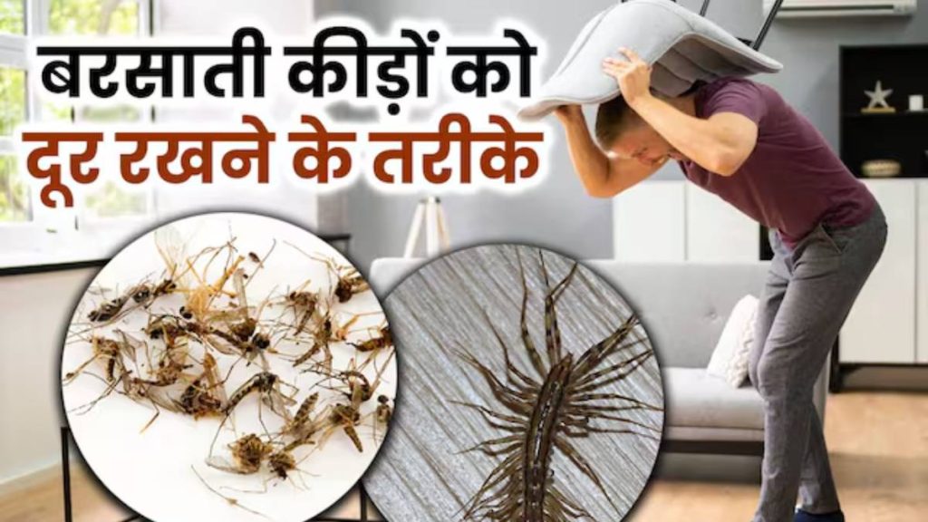 घर पर बनाएं यह नैचुरल स्प्रे जो कीड़ों से रखें दूर बरसात में कीड़ों-मकोड़ों से परेशान?