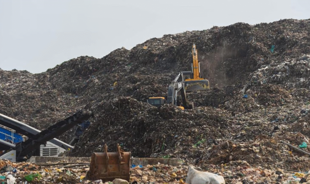 Haryana Forest Department to inspect and demarcate Bandhwari landfill